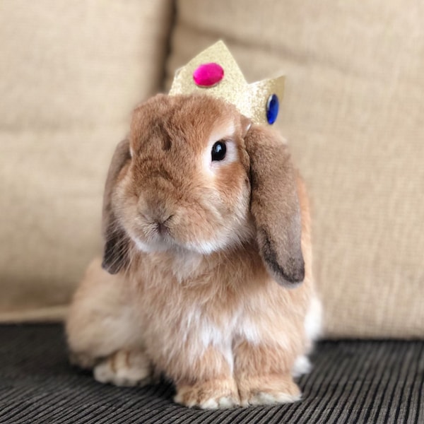 Princess Peach and Daisy inspired crown for small pets