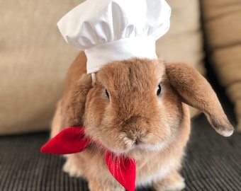 Chef Hat for small to medium pet