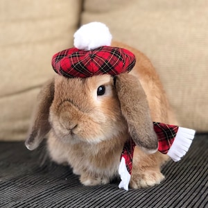Rote Tartan Baskenmütze für kleines bis mittleres Haustier