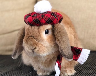 Red tartan beret hat for small to medium pet