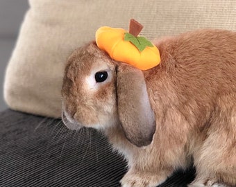 Pumpkin beret hat for small pets