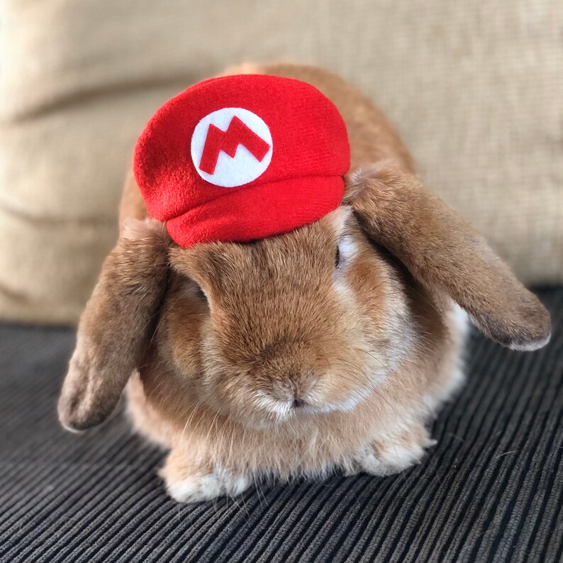 Super Mario and Luigi inspired Hat for small pets Etsy