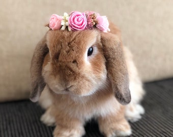 Flower crown for pet bunny rabbits