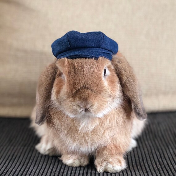 Denim Newsboy Hat for Pet Bunny Rabbit and Other Small Pets
