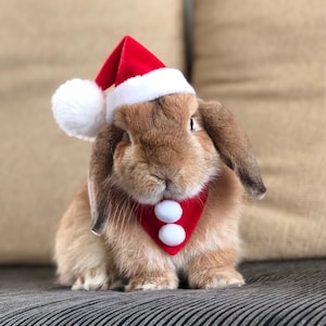 Santa/Elf Hat for small pets