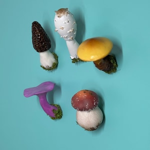 handmade single mushroom magnet, figurines, clay mushroom, unique gift, fungus, sculpture, collectible art, fridge magnet