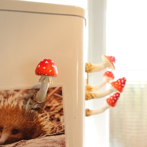 handmade mushroom magnet, figurines, clay mushroom, toadstool, unique gift, fungus, sculpture, collectible art, fridge magnet