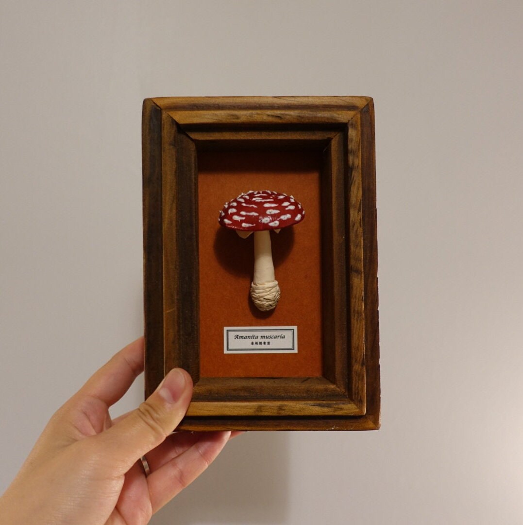 framed handmade clay amanita muscaria, mushroom lover, collectable home decor, mushroom art, clay art, toad stool