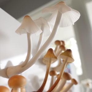 handmade cluster mushroom magnet, figurines, clay mushroom, unique gift, fungus, sculpture, collectible art, fridge magnet