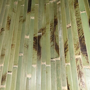 4' x 8' Bamboo Wall Paneling Nat Green TORTOISE Color Wainscoting Wainscot Tiki Bar