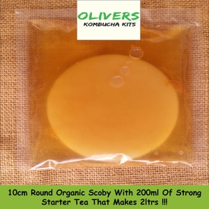 Kombucha Organic Scoby, 200ml Of Starter Tea Liquid And Step By Step Instructions Free Delivery !!