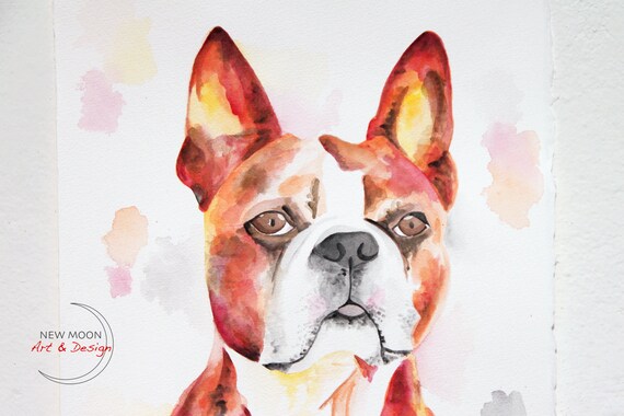 Boston Terrier Watercolor Painting Animal Dog Art Etsy