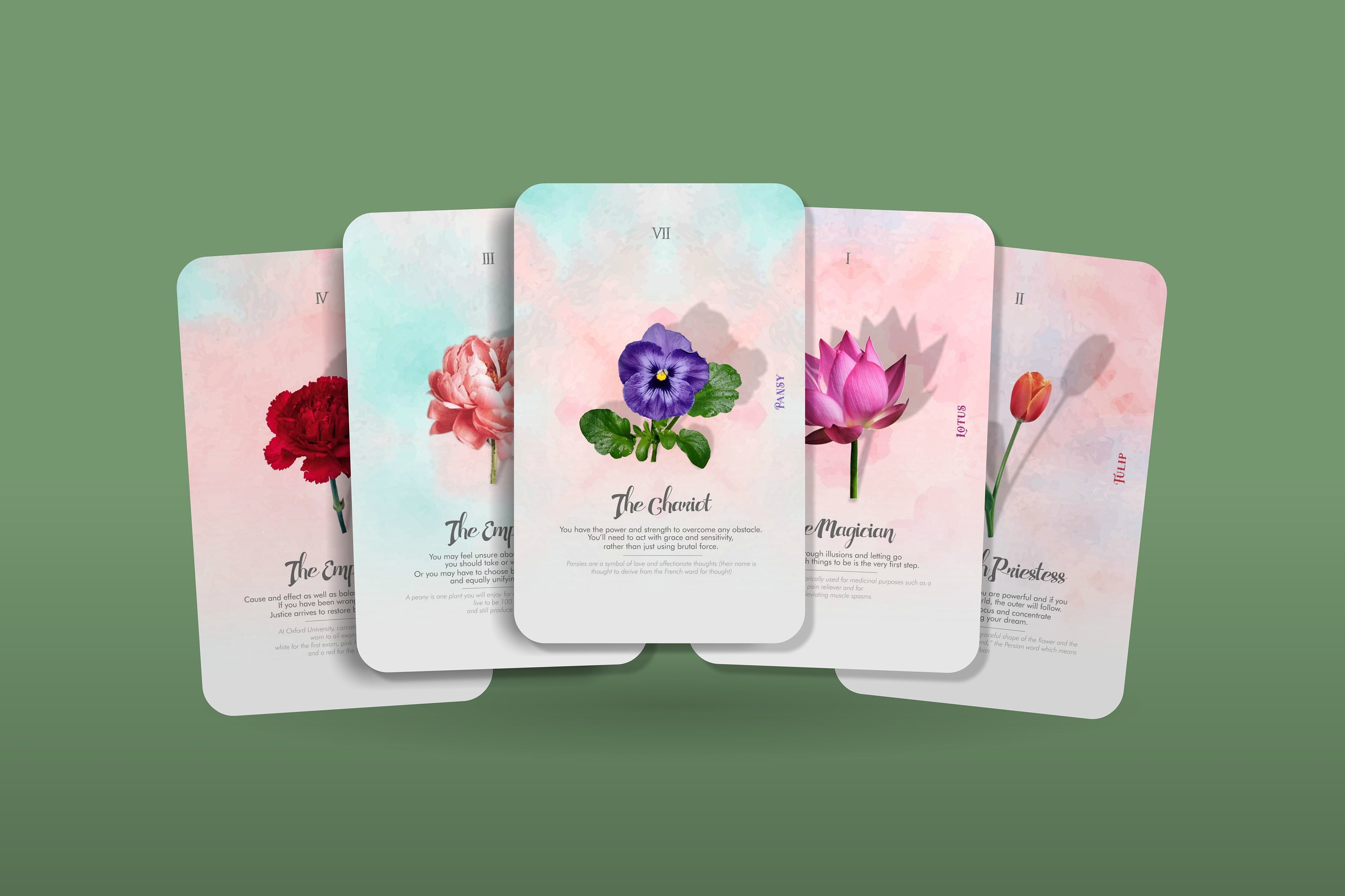 Flower Power Tarot Major Arcana 22 Flower Cards English Garden Tarot