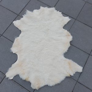 May include: A cream-colored sheepskin rug with a natural, irregular shape. The rug has a thick, fluffy texture and is laid on a gray tiled surface. The rug's edges are uneven, adding to its rustic charm. This rug is suitable for home decor.