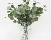 1 pcs 26 quot Artificial Eucalyptus Leaves, Artificial Eucalyptus Leaf, Faux Eucalyptus Leaf, Plastic Eucalyptus Leaf, Decor Flower