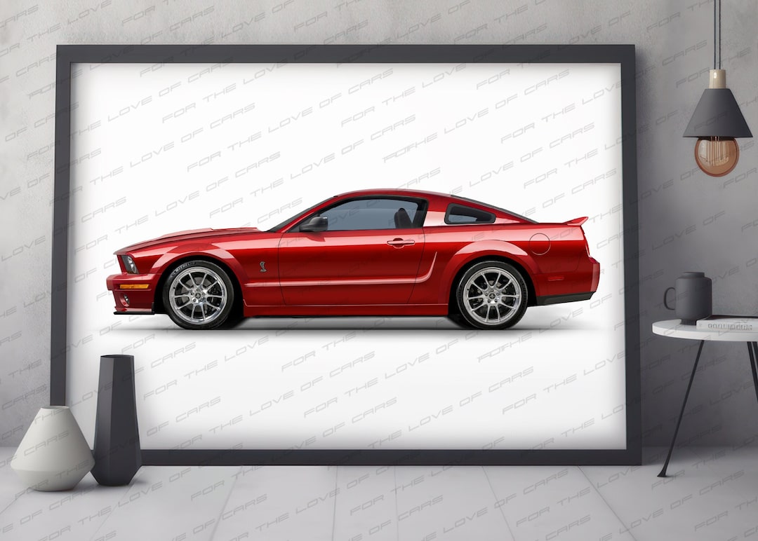 MUSTANG ChristianDior ARTDELATABLE 1枚 il_1080xN.6143937199_l3uw.jpg