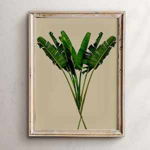Stampa di foglie di banano, arte di foglie di banano, stampa di foglie di palma, arte murale tropicale, stampe tropicali, arte stampabile, stampa di foglie, decorazione artistica di foglie botaniche
