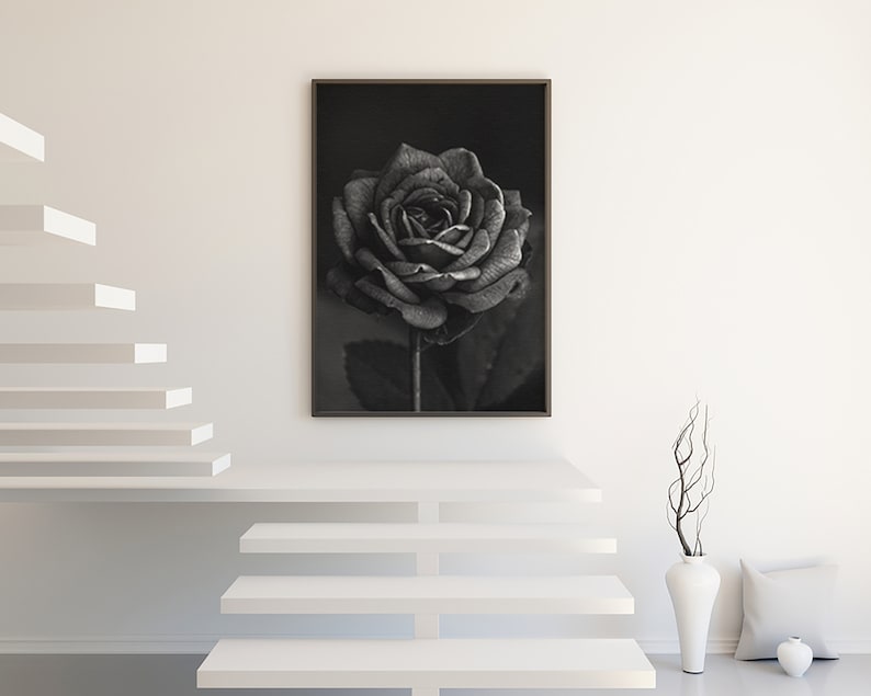 Black Rose Print Black Rose Wall Art Black Rose Wall Decor Etsy