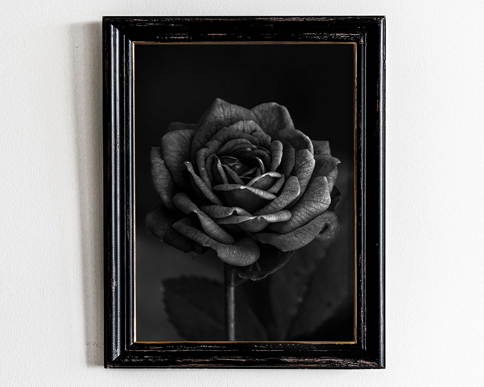 Black Rose Print Black Rose Wall Art Black Rose Wall Decor Etsy