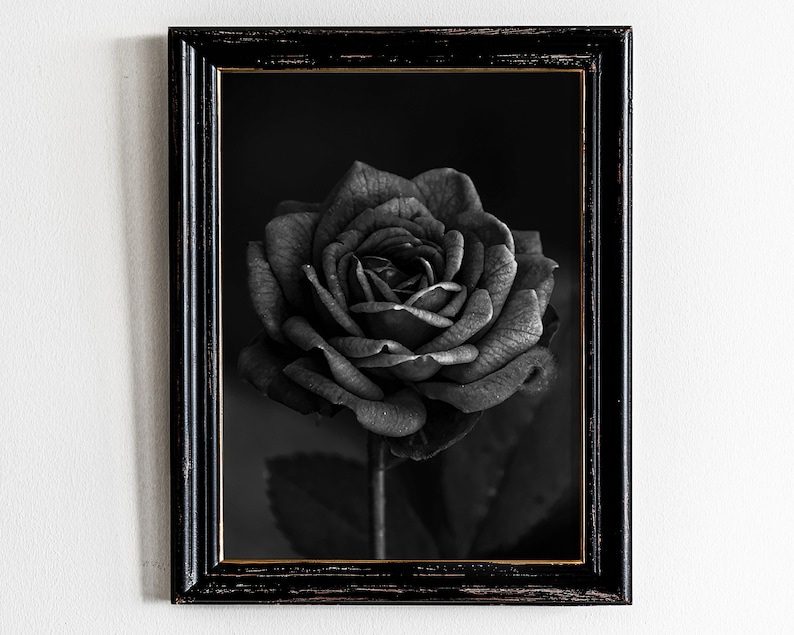 Black Rose Print Black Rose Wall Art Black Rose Wall Decor Etsy