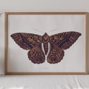 Vintage Moth Print Set, Insect Wall Art (Digital Download)