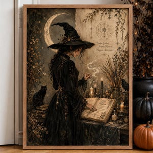 May include: A framed wall art print depicting a figure in a black witch hat and gown standing before an open book. The scene includes a crescent moon, a black cat, candles, and botanical elements with the text Verba Volant, Scripta Manent, Magica Aeternum.