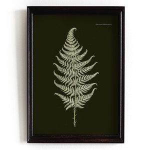 Dark Botanical Gallery Wall Art | Stimmungsvolles Blumendruck-Set | Farn Wandkunst | Dark Academia Druck | Digitaler Download | Druckbare Kunst