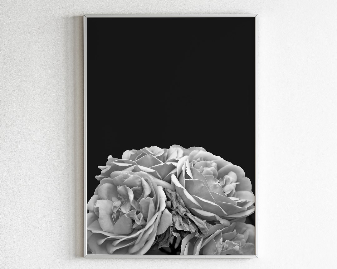 Black and White Rose Photography Print, Floral Wall Art (digital ...