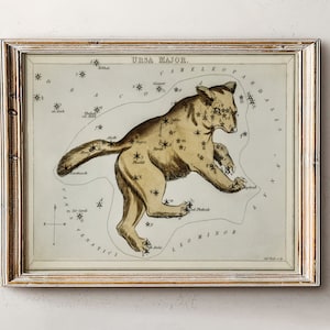 Astrologie Karte, Geschenk für Astrologie, Sternzeichen Geschenke, Vintage Sternzeichen Poster, antike Karte Druck, Vintage Karte Druck, himmlische Wohnkultur, Dark Academia