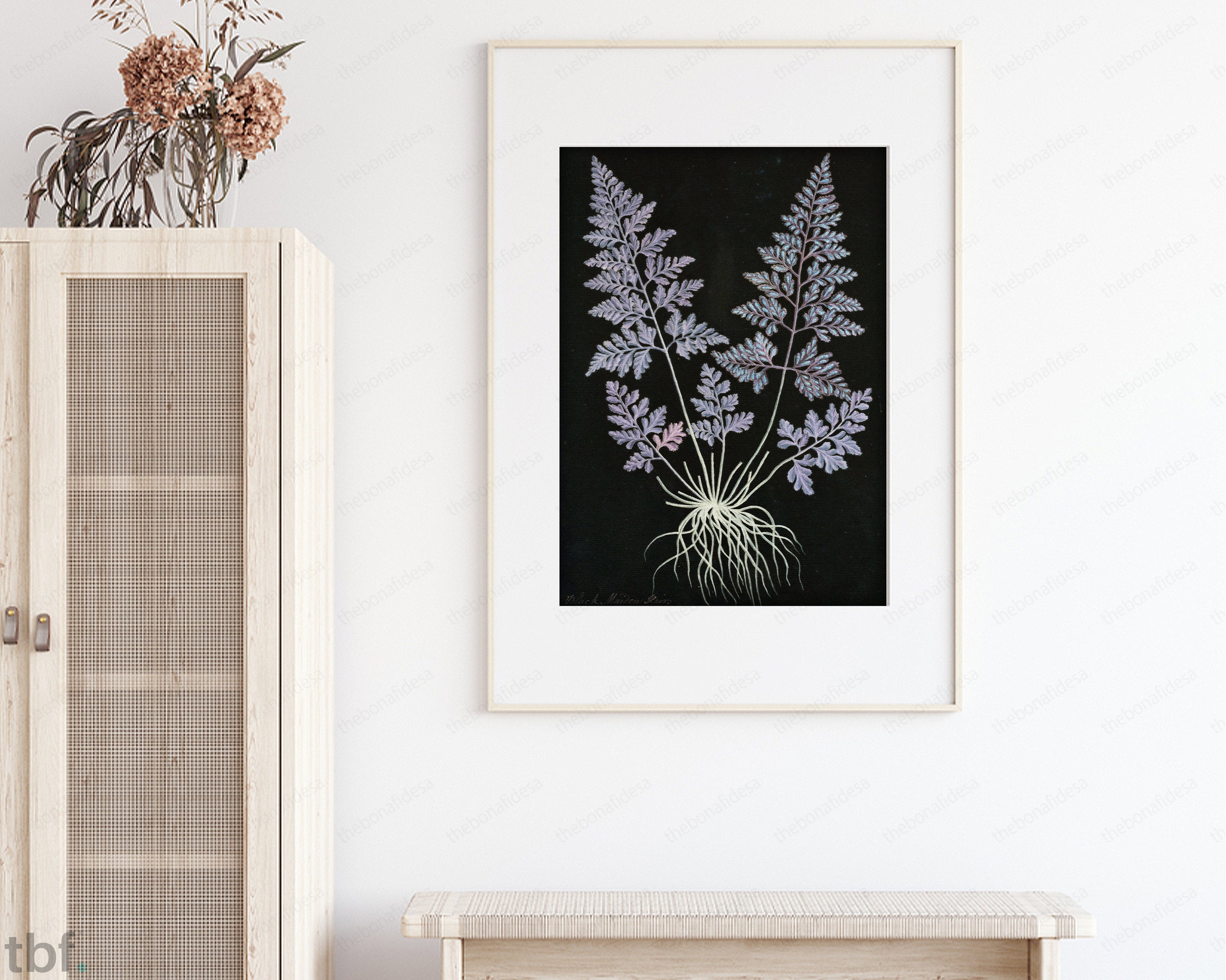 Botanical illustration Vintage Black Background Floral Print | Etsy