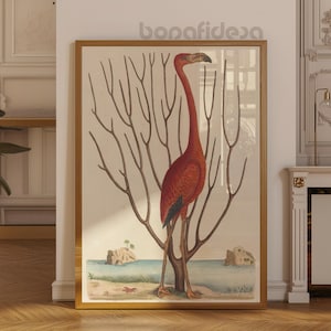 Lámina vintage de flamenco: arte mural de pájaro maximalista y peculiar, decoración retro de animales, póster bohemio ecléctico para habitación o baño.