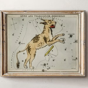 Astrologie Karte,Geschenk für Astrologie,Sternzeichen Geschenke,Vintage Sternzeichen Poster,Antike Karte Druck,Vintage Karte Druck,Celestial Home Dekor,Dark Academia