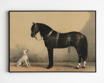 Horse Print, Dog Print, Animal Wall Art, Antique Horse Print, Vintage Print, Lithograph Print, Vintage Animal Art, Farm Art, Vintage Dog