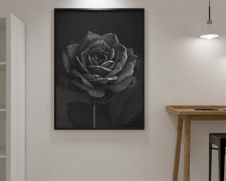 Black Rose Print Black Rose Wall Art Black Rose Wall Decor Etsy