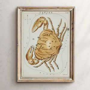 Astrologie Karte, Geschenk für Astrologie, Sternzeichen Geschenke, Vintage Sternzeichen Poster, antike Karte Druck, Vintage Karte Druck, himmlische Wohnkultur, Dark Academia
