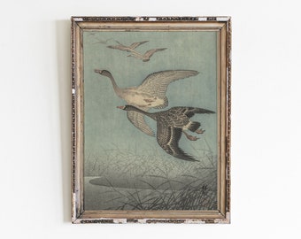 Vintage Bird Print: Antique Illustration, Minimalist Sketch (Digital Download)