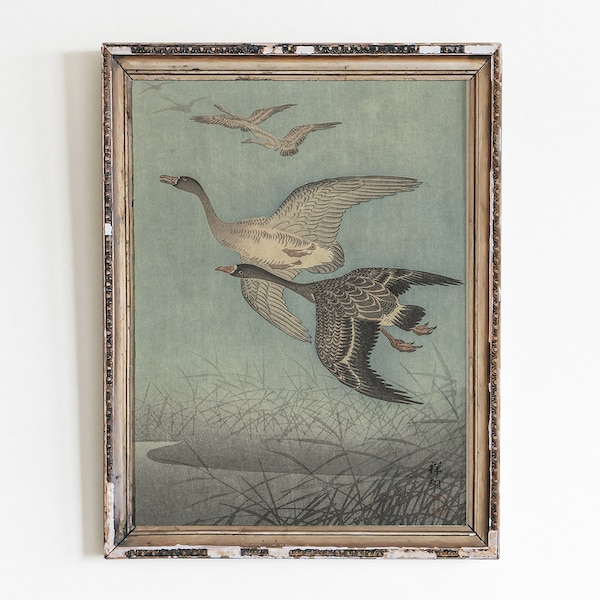 Vintage Bird Print, Antique Bird Illustration, Minimalist Sketch Digital, Printable Wall Art, Digital Download, Instant Download