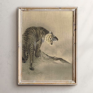 Tiger Drawing Art Print: Vintage Wildlife Illustration (Digital Download)