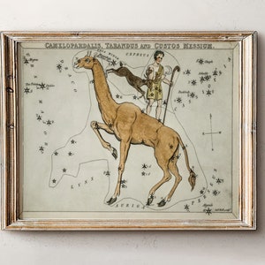 Astrologie Karte,Geschenk für Astrologie,Sternzeichen Geschenke,Vintage Sternzeichen Poster,Antike Karte Druck,Vintage Karte Druck,Celestial Home Dekor,Dark Academia