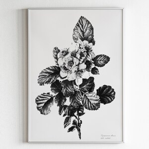 Black and White Botanical Prints Downloadable Art, Modern Farmhouse ...