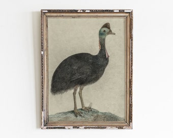 Vintage Minimalist Bird Prints,Antique Printable Sketch,Bird Charcoal Drawing,Gift For Bird Lover,Digital Download,Downloadable Illustration