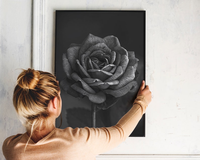 Black Rose Print Black Rose Wall Art Black Rose Wall Decor Etsy