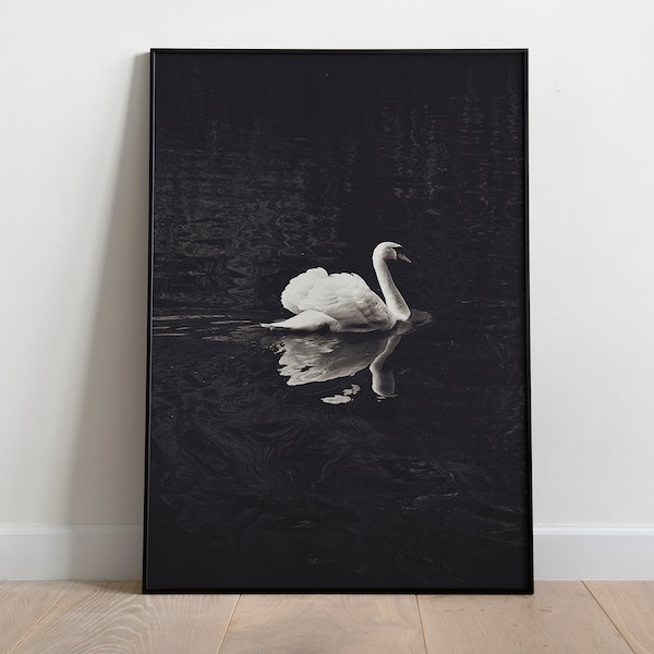 Dark Academia Decor, Swan Print, Swan Wall Art, Printable Art, Black and White Photo, Animal Decor, Living Room Poster, Minimalist Print