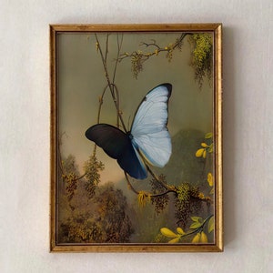 Vintage Butterfly Art Print,Light Academia Decor,Victorian Dark Nature Print,Natural History Art,Butterfly Decor,Home Decor,Garden Wall Art