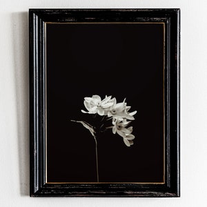 Black and White Flower Photography Print (Digital Download)
