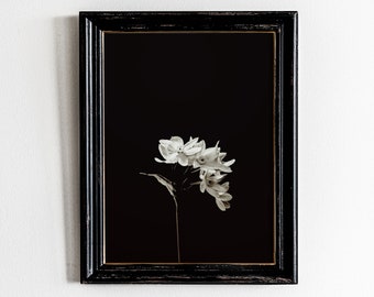 Blumen Poster, druckbare Wandkunst, Drucke, schwarz weiß Kunst, Schlafzimmer Wand Dekor, Blumen Fotografie Druck, botanisches Geschenk