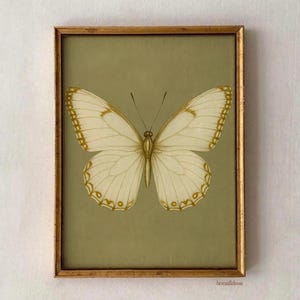 Moody White Butterfly Print: Butterfly Vintage Print, Antique Rustic Decor, Moody Wall Art, Vintage Decor, Digital Prints, Download
