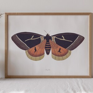 Vintage Monarch Butterfly Wall Art Print (Digital Download)