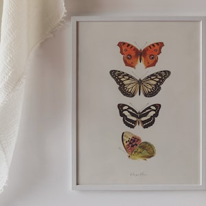 Butterfly Print Boho, Butterfly Print Download, Butterfly Vintage Poster, Printable Wall Art, Digital Download, Apartment Aesthetic, Rustic