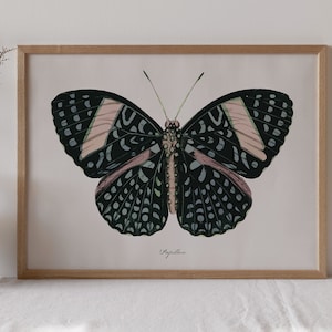 Rosa och blå fjärilstryck: Vintage insektsväggkonst (digital nedladdning)